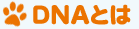 DNAとは